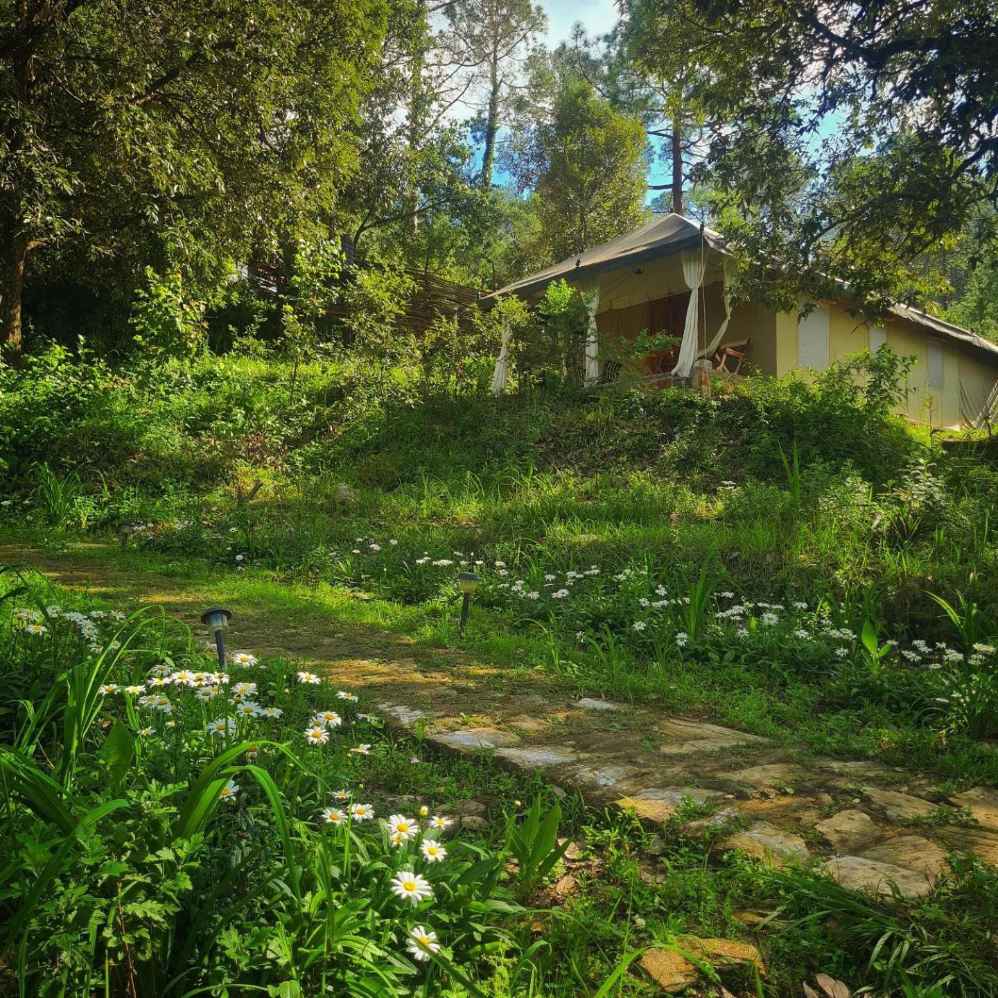 Nayalap - Rural Himalayan Glamping Hotel Shitlakhet Exterior photo